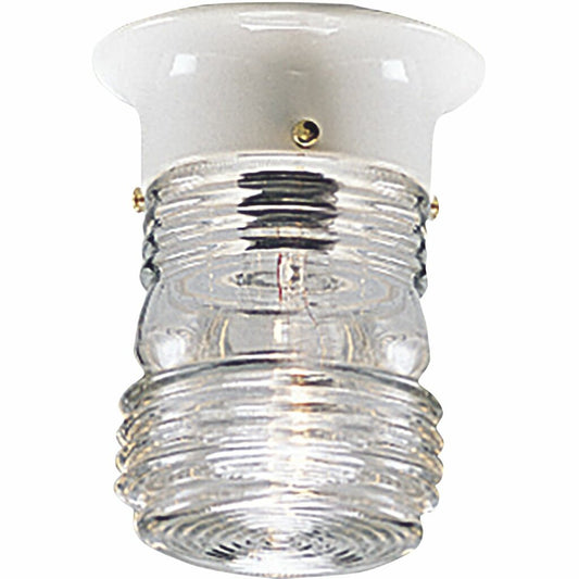 Progress Lighting P5603-30 Fixture An outdoor injelly jar in utility