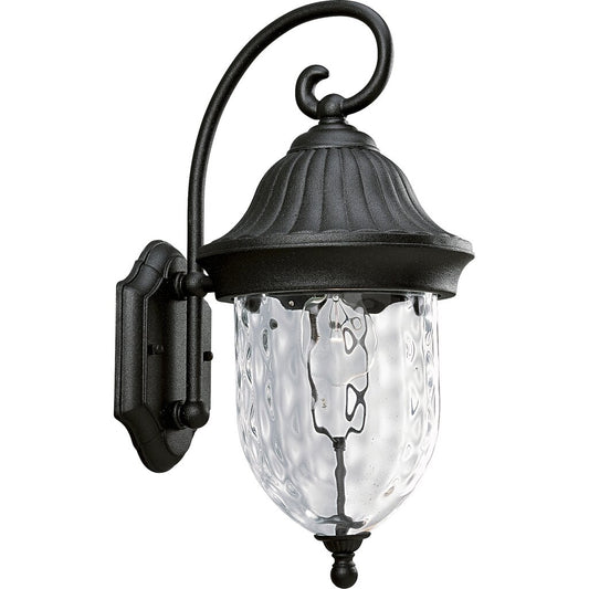Progress Lighting P5828-31 Fixture Capture the romance with this