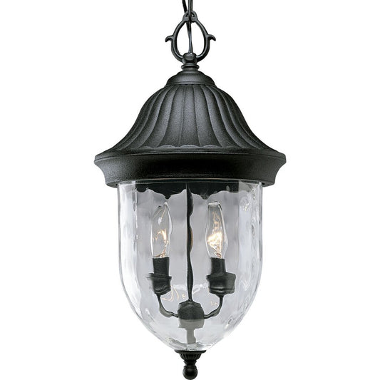 Progress Lighting P5529-31 Fixture Capture the romance with this