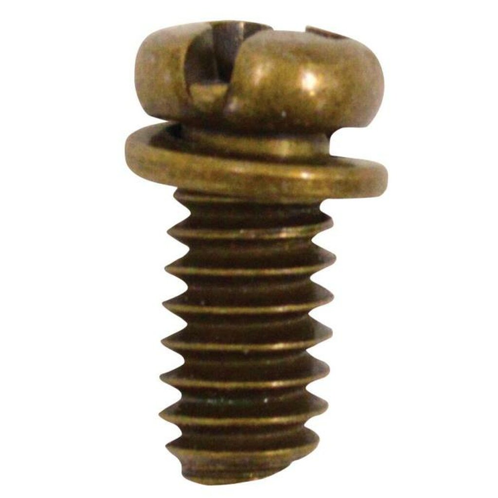 Westinghouse 7704800 ACCESSORY-OTHER 10-Piece Motor Screw Kit Antique