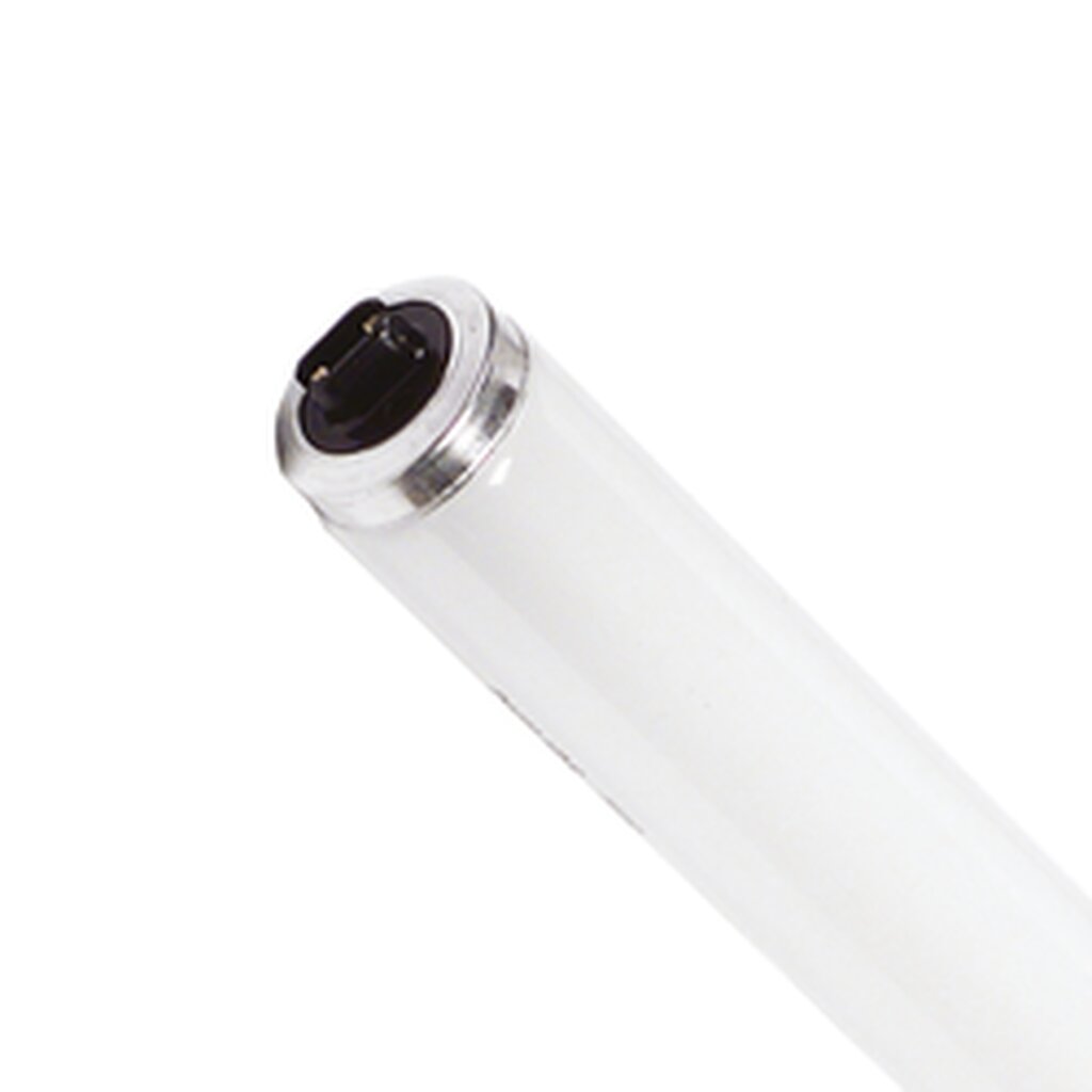 Halco 369785 60W T12 Cool White Fluorescent Light Bulb