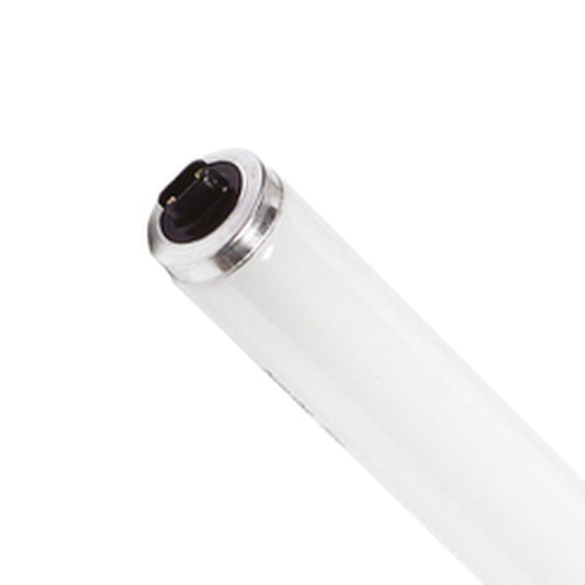 Halco 369785 60W T12 Cool White Fluorescent Light Bulb