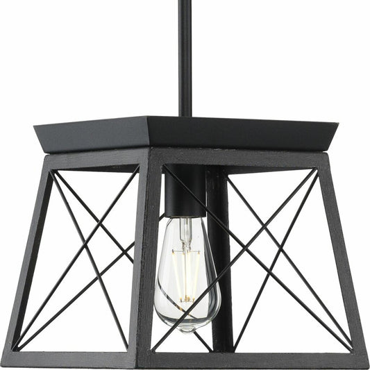 Progress Lighting P500041-031 Fixture A light source exudes a
