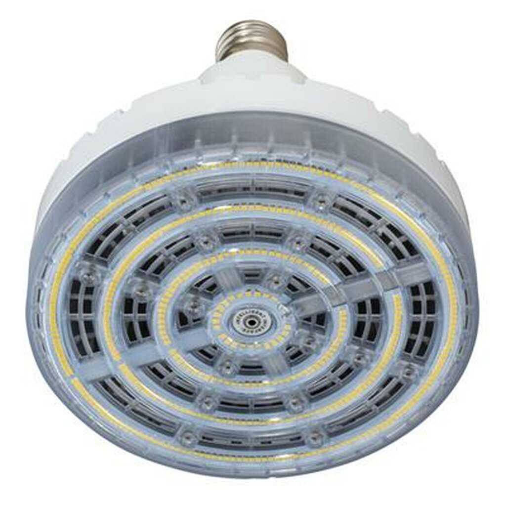 Topaz LHB80W-850-EX39 80W Daylight LED Light Bulb