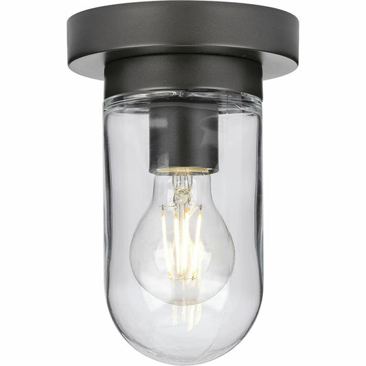 Progress Lighting P350145-143 Fixture A clear blown glass shade paired