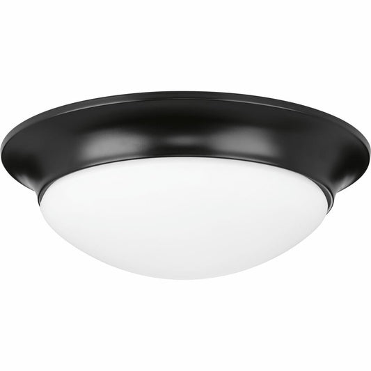 Progress Lighting P350147-031 Fixture A bold Black-finished frame adds