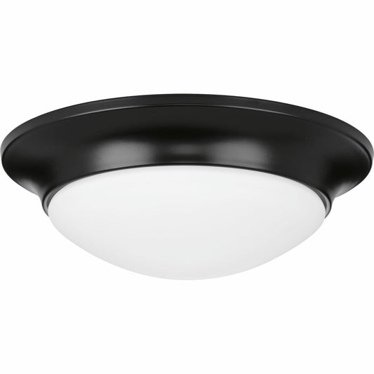 Progress Lighting P350146-031 Fixture Stylish simplicity and function