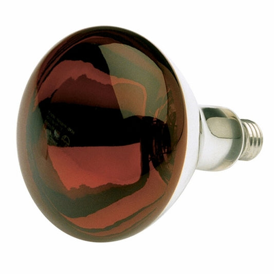 Satco S4884 250W R40 Red Light Bulb