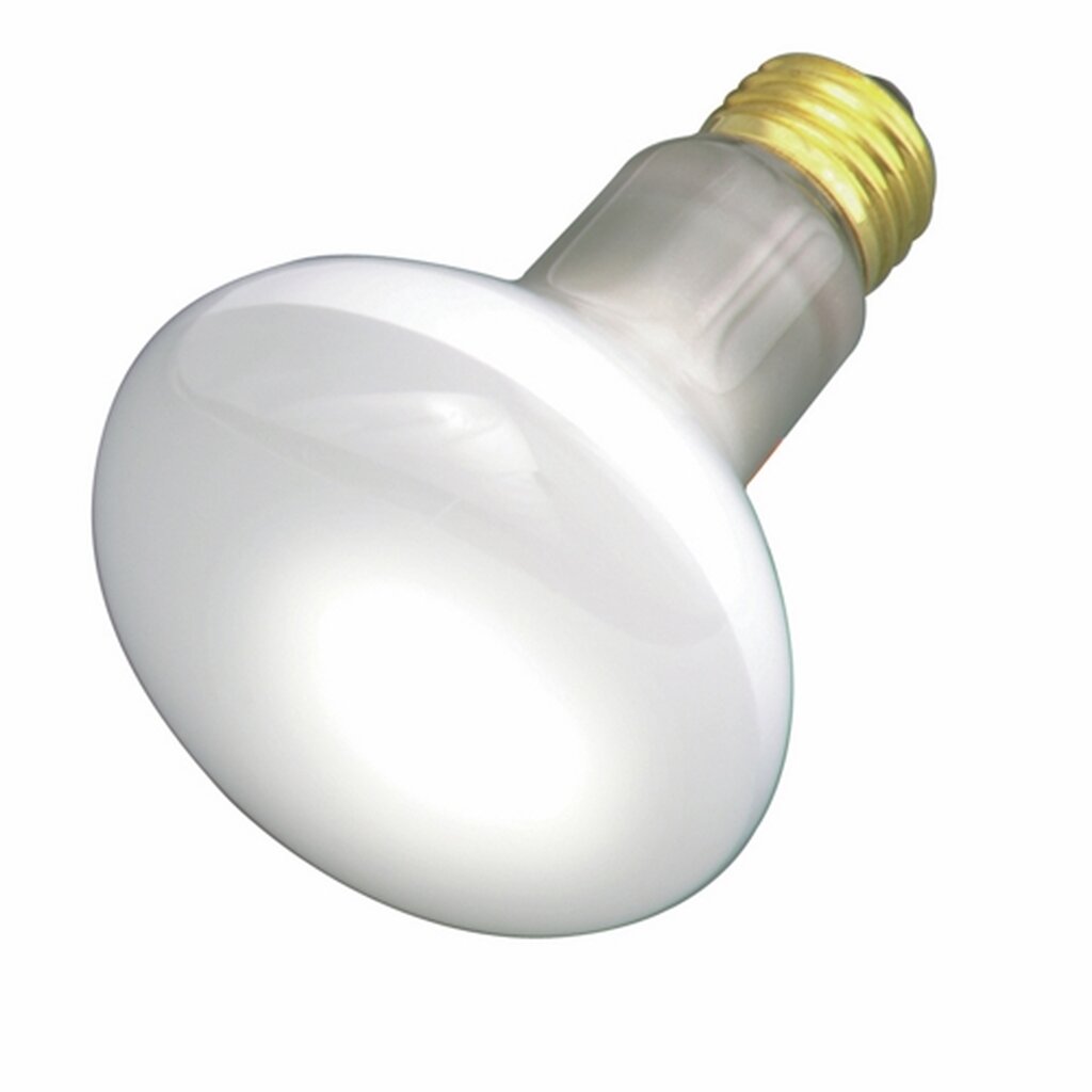 Satco S2810 30W R20 Warm White Incandescent Light Bulb