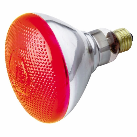 Satco S4424 100W BR38 Light Bulb