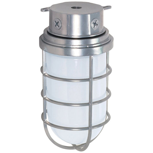 Satco 76/626 Fixture 1 Light - 10 Industrial Style Surface Mount