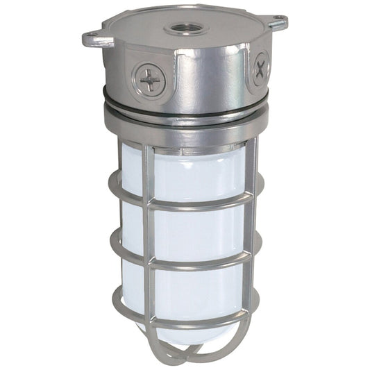 Satco 76/624 Fixture 1 Light - 11 Industrial Style Surface Mount