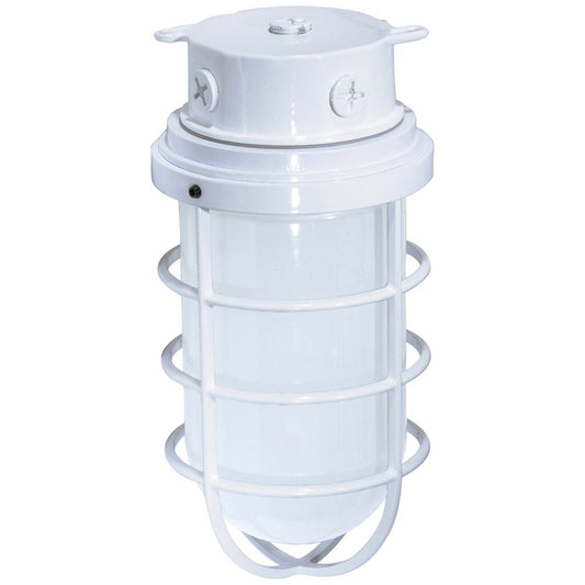 Satco 76/618 Fixture 1 Light - 11 Industrial Style Surface Mount