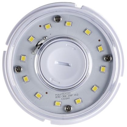 Satco S49392 36W LED Light Bulb