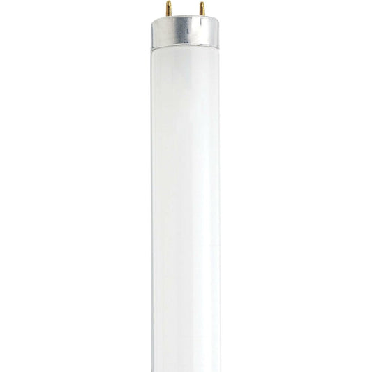 Satco S7920 T8 Fluorescent Light Bulb