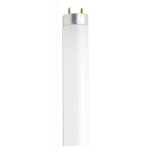 Satco S26519 T8 Fluorescent Light Bulb