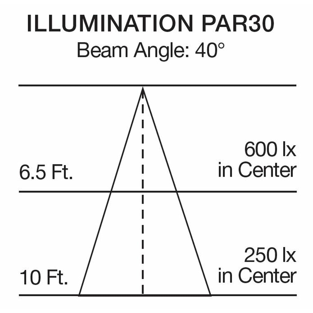 Satco S29764 21.5W PAR30 Long LED Light Bulb