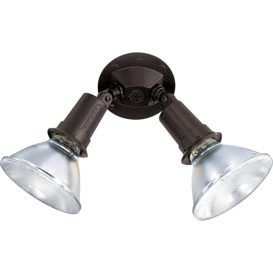 Satco SF76-523 Flood Light Fixture 2 Light - 10" PAR38 with Adjustable
