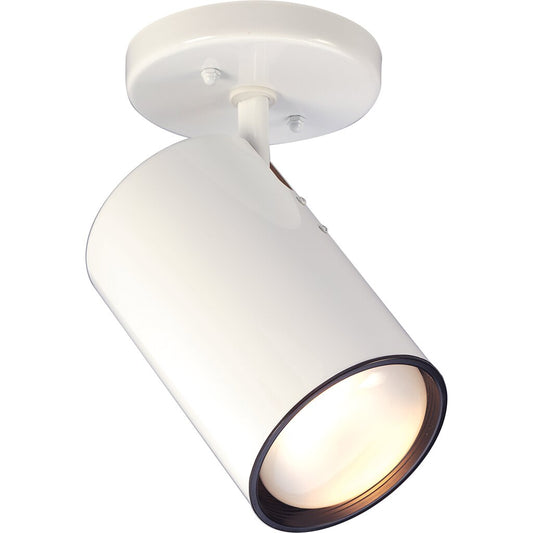 Satco SF76-418 Flush Mount Fixture 1 Light - R30 Step Cylinder White