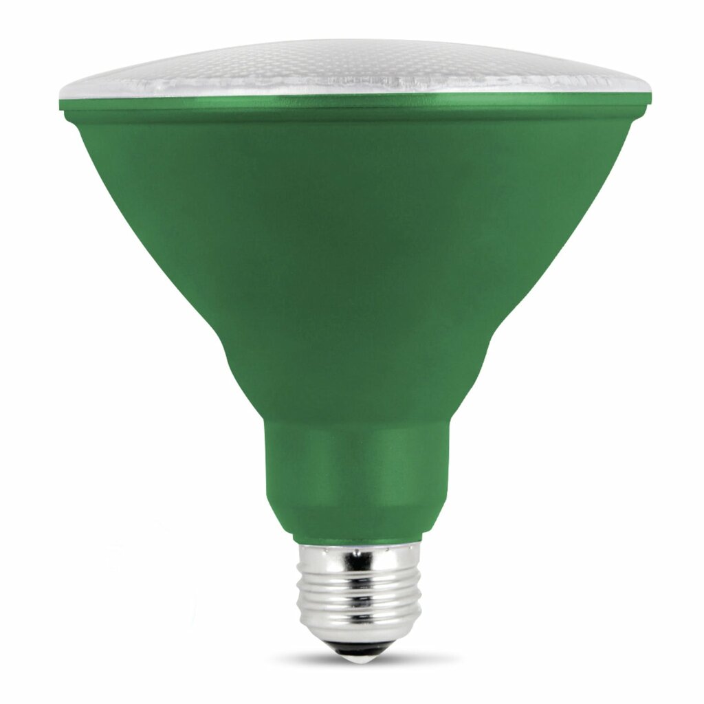 Feit Electric PAR38/G/10KLED/BX 7W PAR38 Green LED Light Bulb