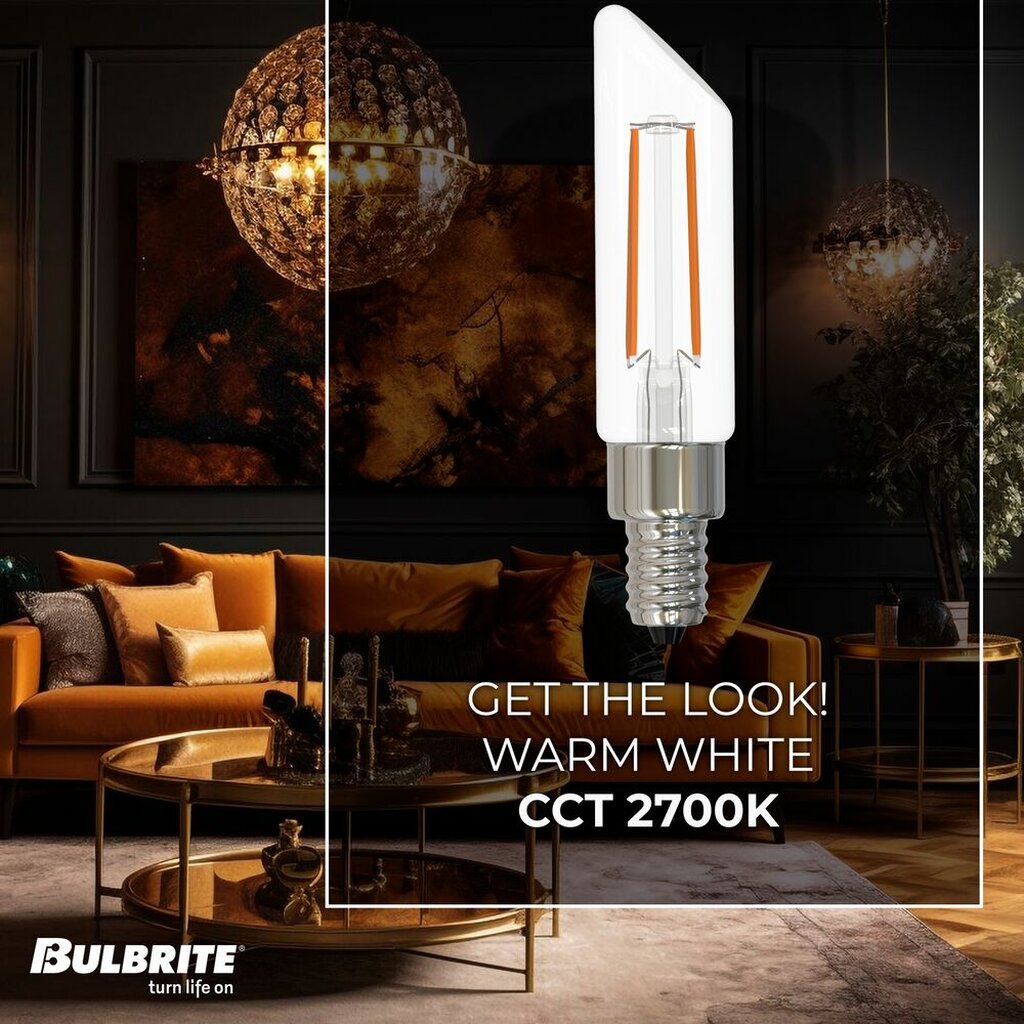 Bulbrite 862859 4W T6 Warm White Light Bulb