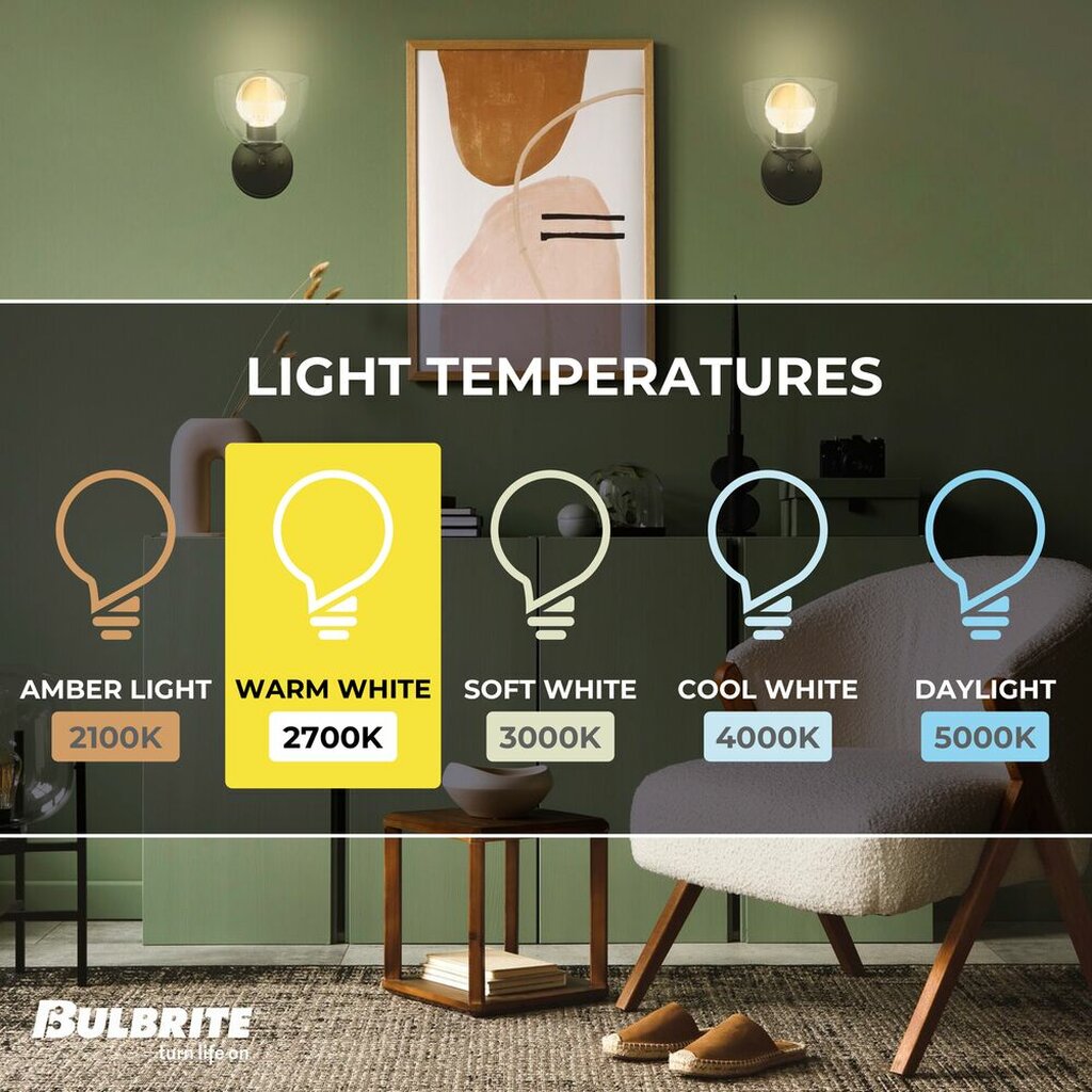 Bulbrite 862852 6W G40 Warm White Light Bulb
