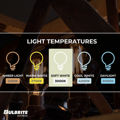 Bulbrite 862851 13W G25 Soft White Light Bulb