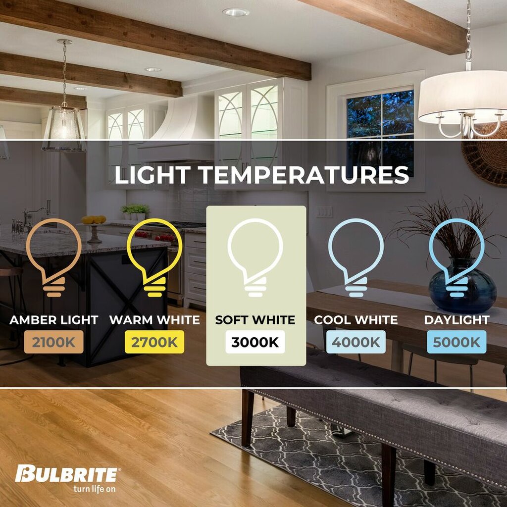 Bulbrite 862849 13W ST18 Soft White Light Bulb
