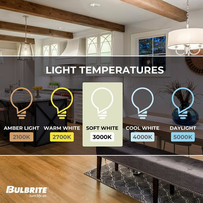 Bulbrite 862849 13W ST18 Soft White Light Bulb