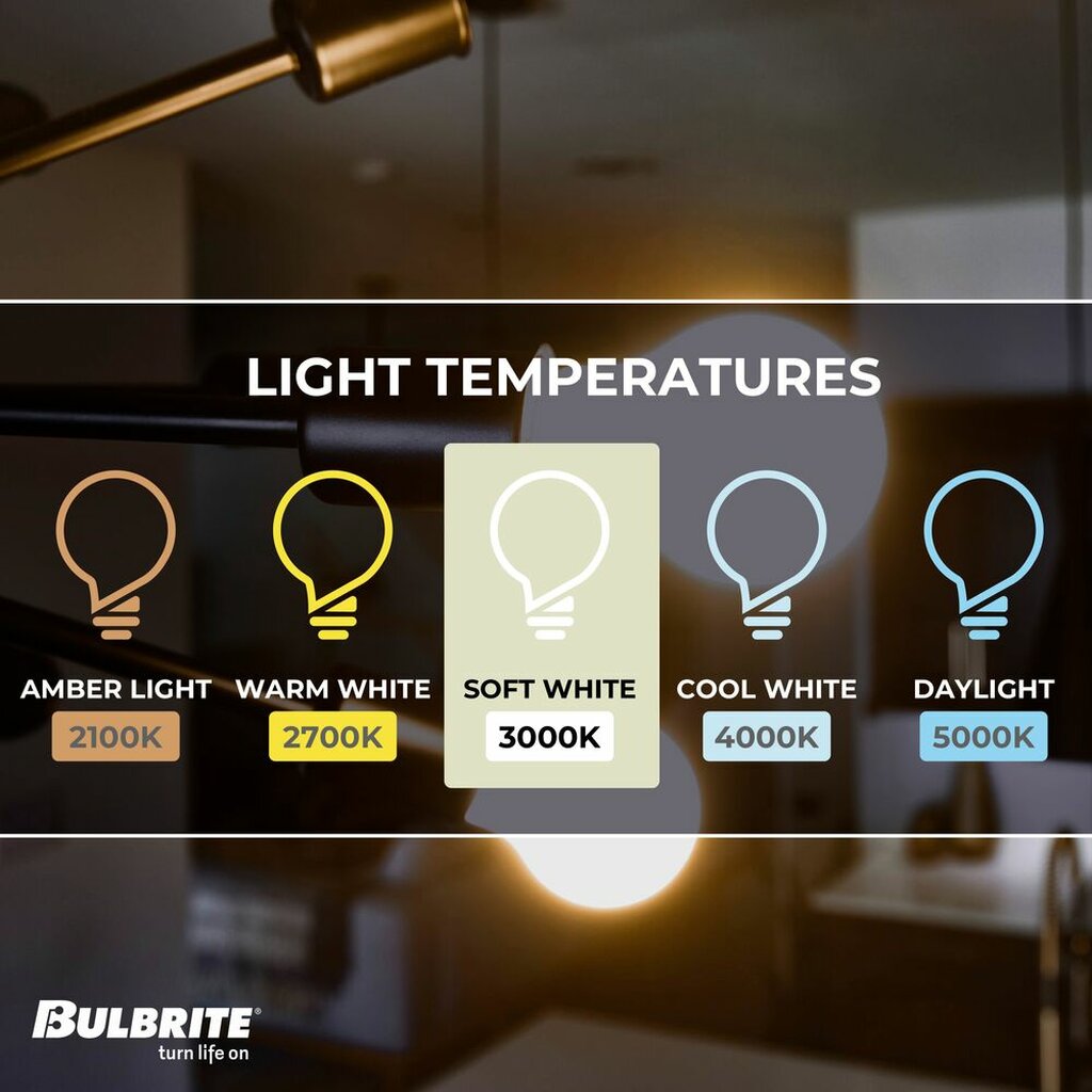 Bulbrite 862847 7W A19 Soft White Light Bulb