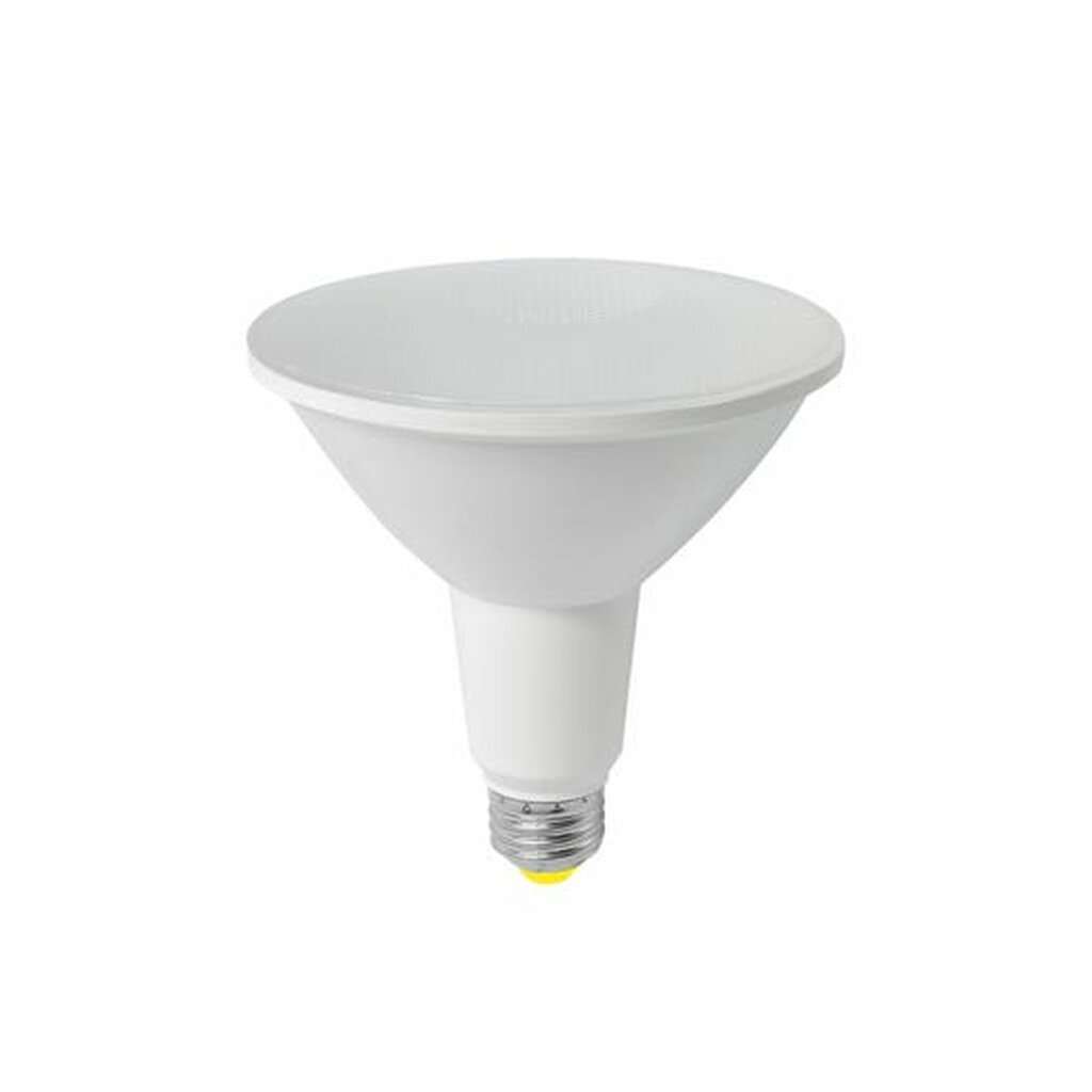 Halco 80253 14W PAR38 LED Light Bulb