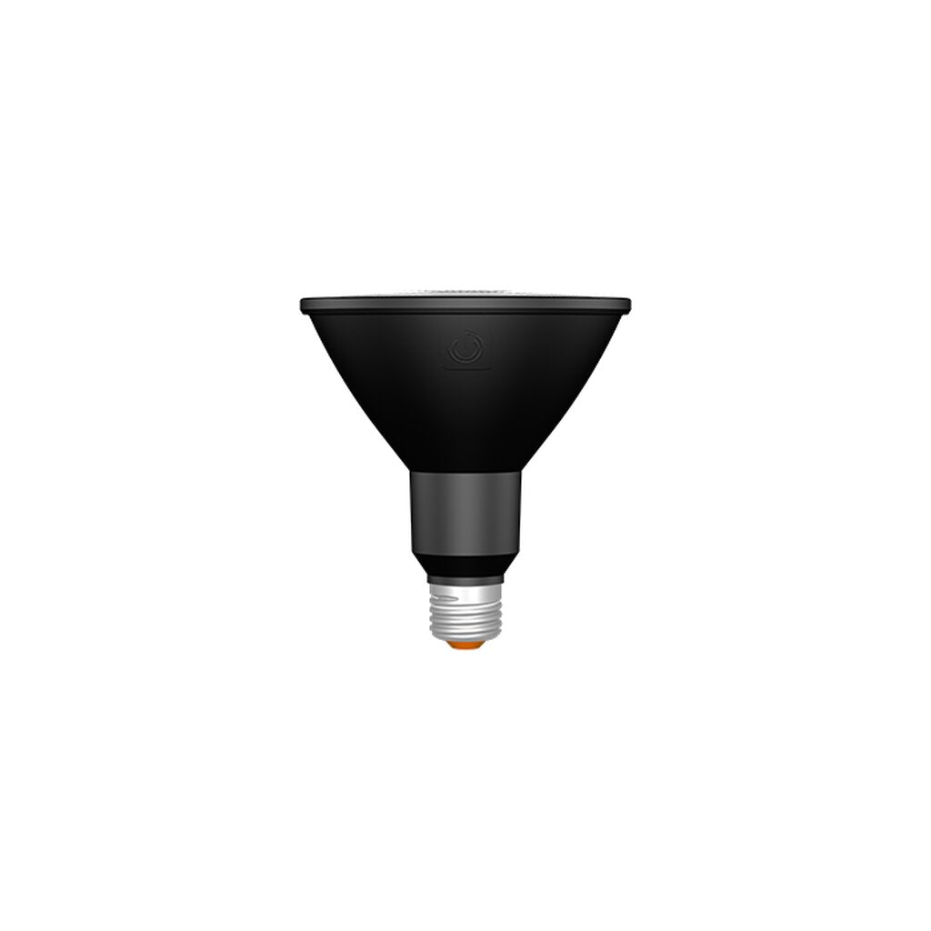 Green Creative 37207 15.5W PAR38 Soft White LED Light Bulb