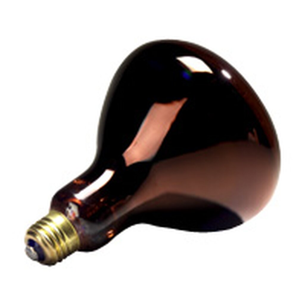 Prism 104044 250W R40 Incandescent Light Bulb