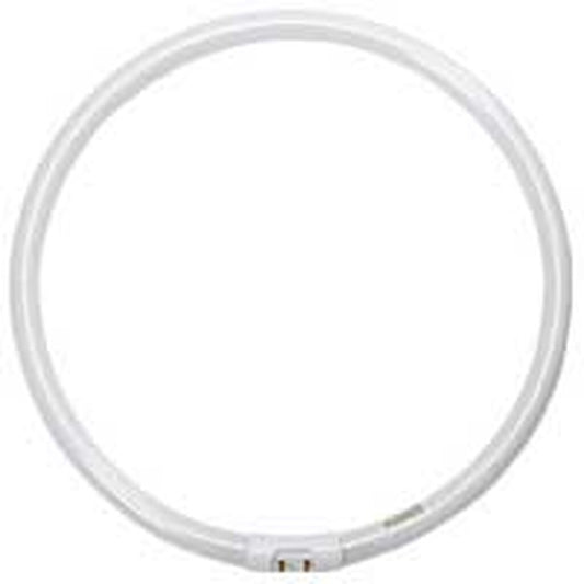 ProLume 109086 40W T5 Circline Fluorescent Light Bulb