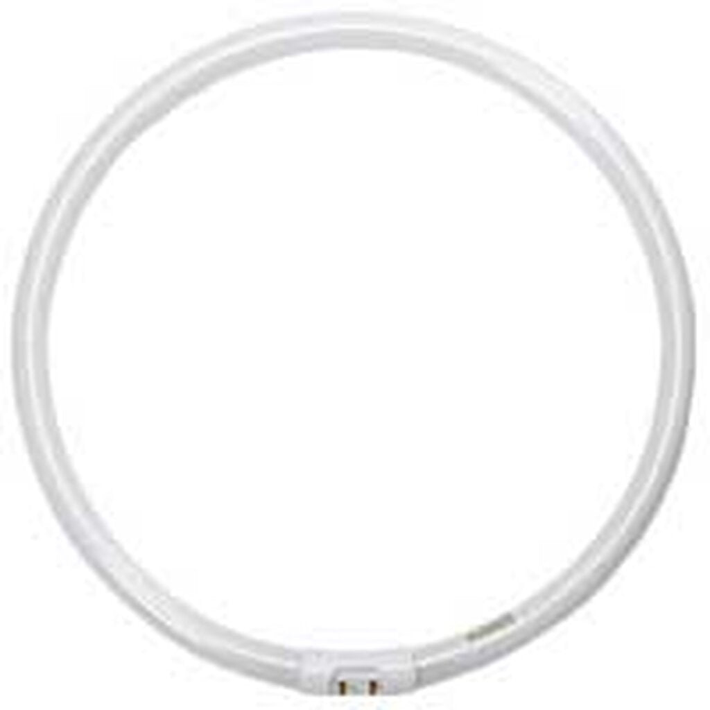 ProLume 109084 40W T5 Circline Fluorescent Light Bulb