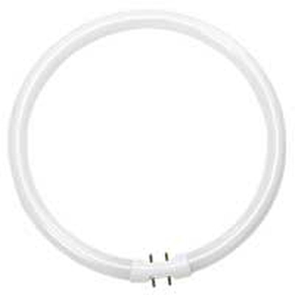 ProLume 109082 22W T5 Circline Cool White Fluorescent Light Bulb