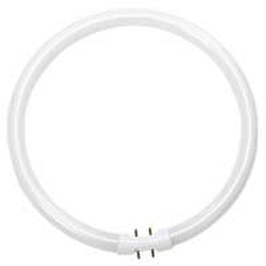 ProLume 109082 22W T5 Circline Cool White Fluorescent Light Bulb