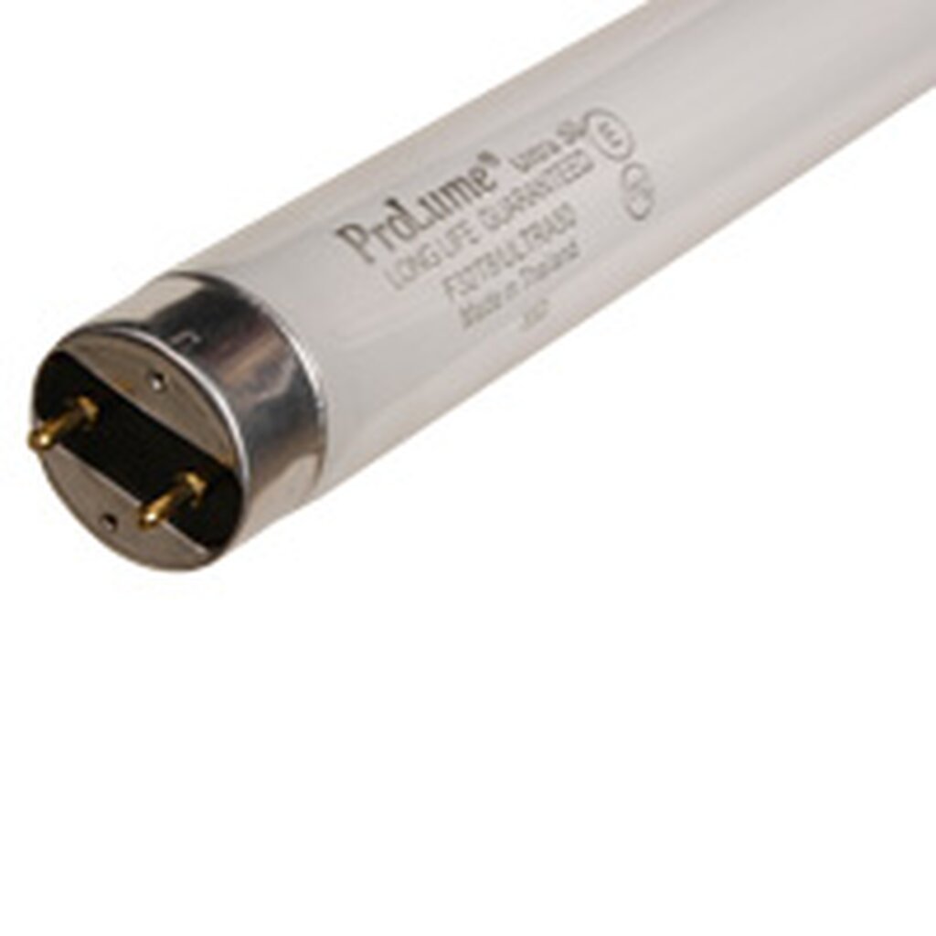 ProLume 109234 18W T8 Cool White Fluorescent Light Bulb