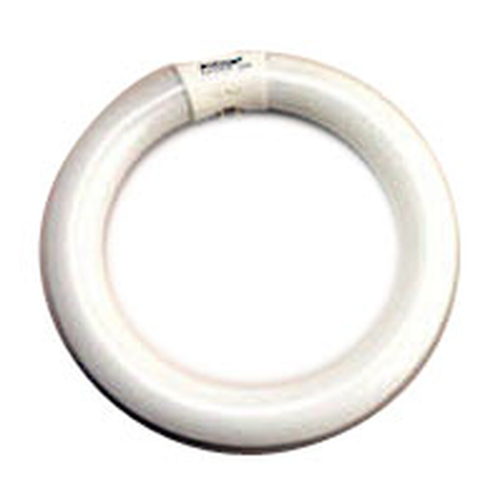 ProLume 37501 22W T9 Circline Fluorescent Light Bulb