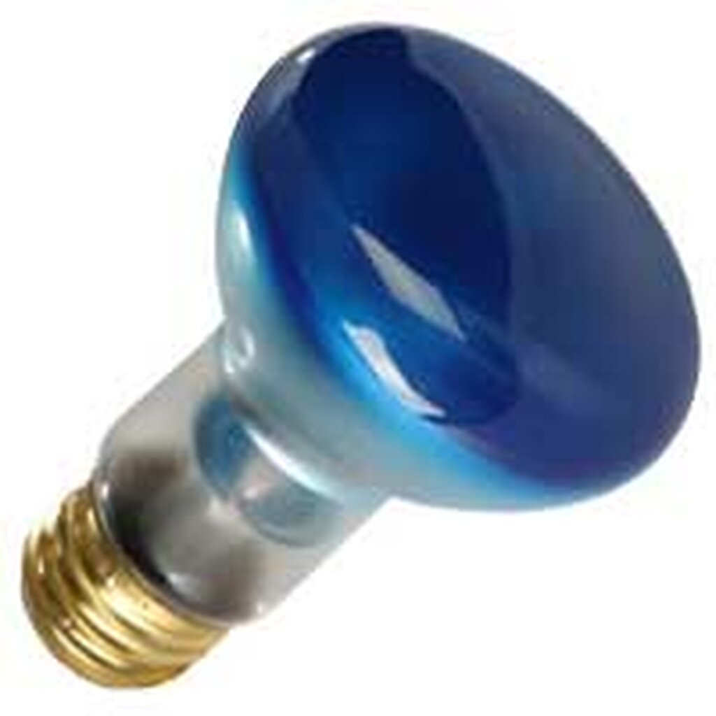 Halco 9146 50W R20 Blue Incandescent Light Bulb