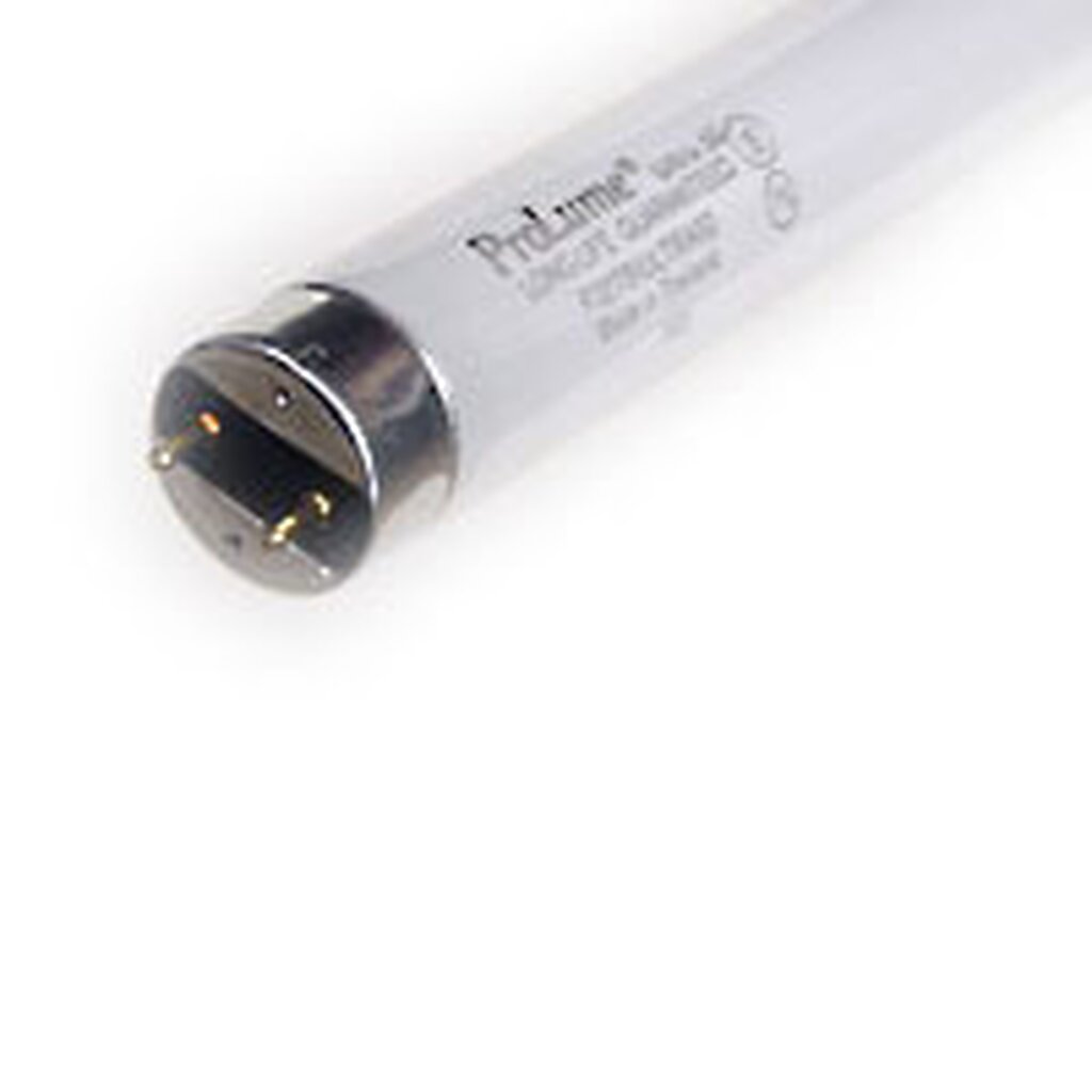 ProLume 35177 32W T8 Fluorescent Light Bulb