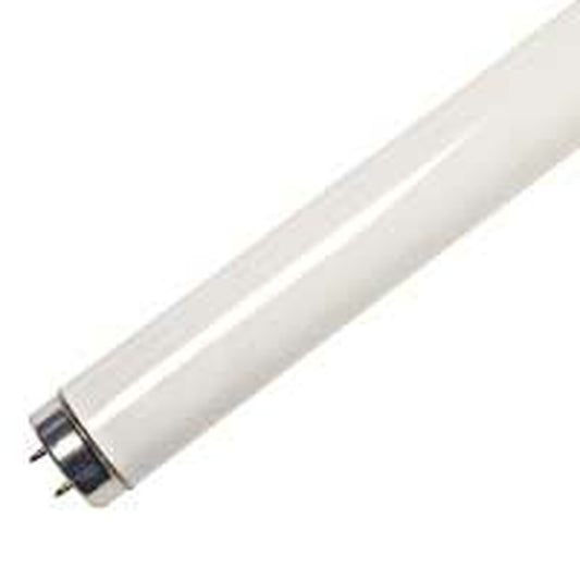 30 pack - ProLume 109370 14W T8 Fluorescent Light Bulb