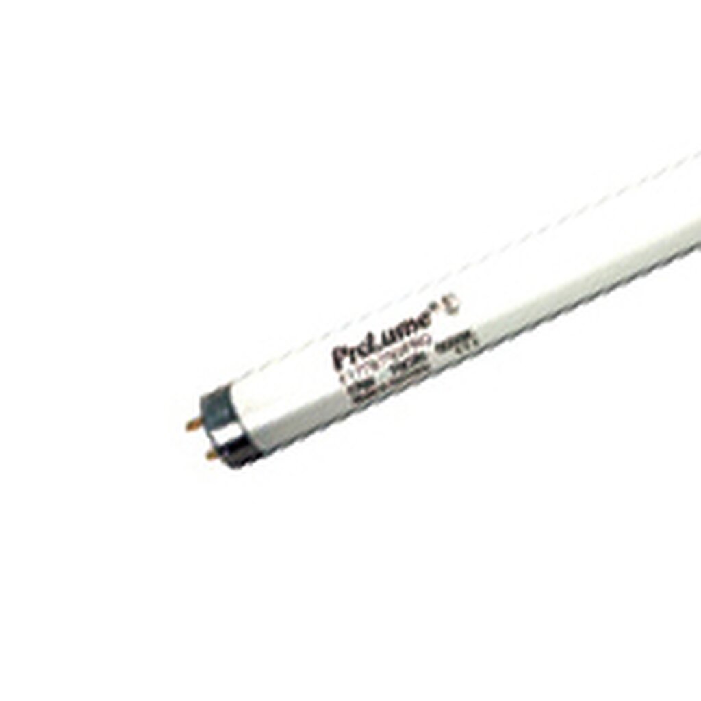 ProLume 109322 17W T8 Fluorescent Light Bulb
