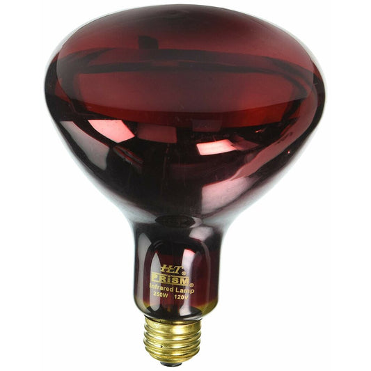10 pack - Halco 404071 250W R40 Red Incandescent Light Bulb