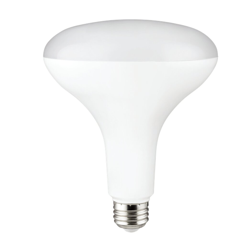 Halco 80283 13W BR40 LED Light Bulb