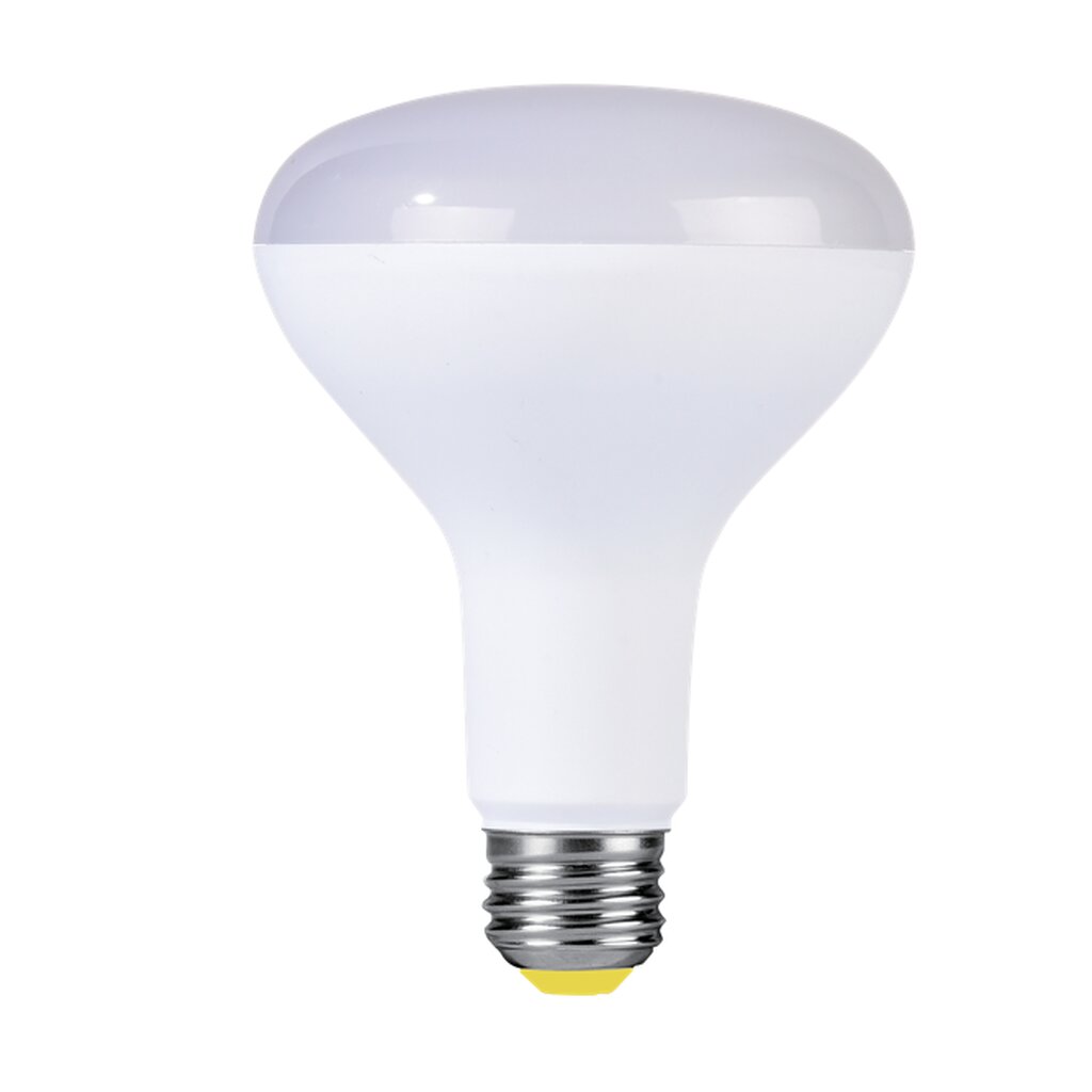 Halco 80279 9.5W BR30 LED Light Bulb