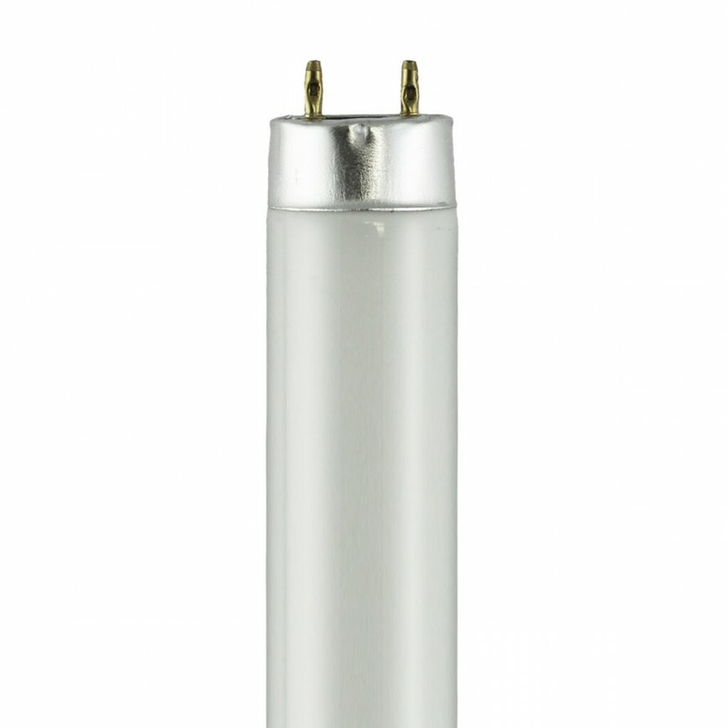 F15T8-BL 15W T8 350nm Black Light Fluorescent Light Bulb