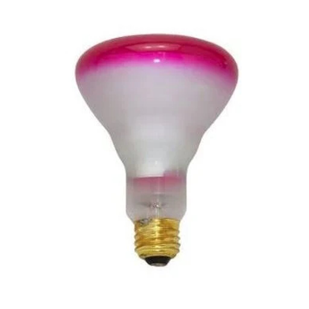 Prism 404046 65W BR30 Soft Pink Incandescent Light Bulb