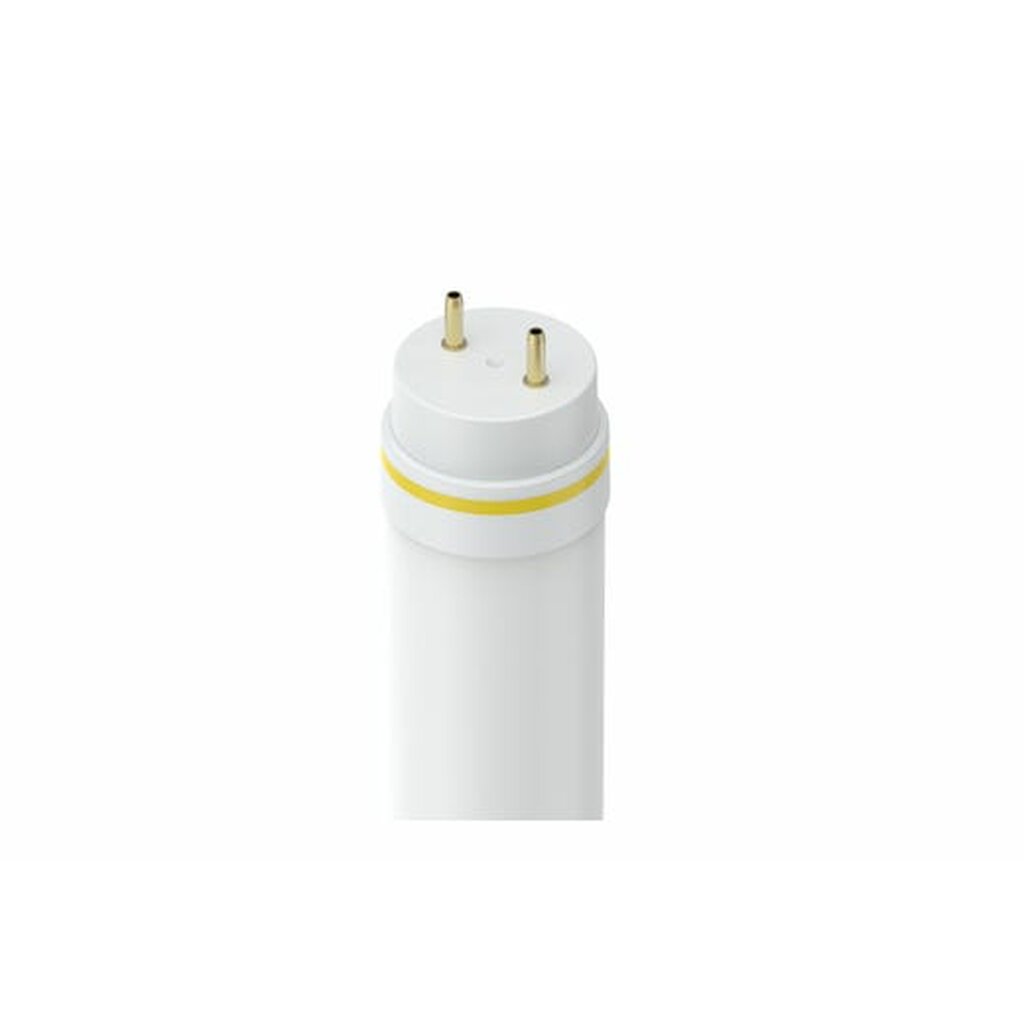 Halco 87213 12W T8 Daylight LED Light Bulb