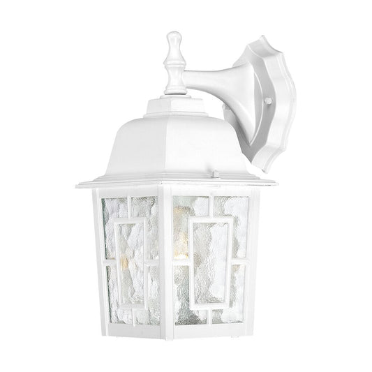 Satco 60-3484 Fixture Banyan - 1 Light 12 in. Outdoor Wall with Clear